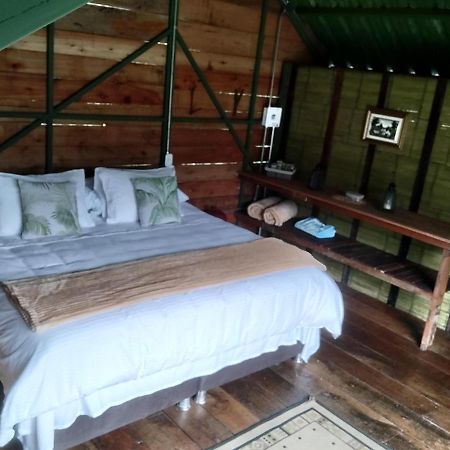 سالنتو Ecohotel Pinohermoso Reserva Natural المظهر الخارجي الصورة