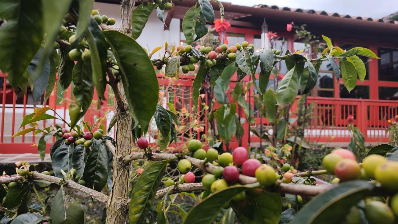 سالنتو Ecohotel Pinohermoso Reserva Natural المظهر الخارجي الصورة