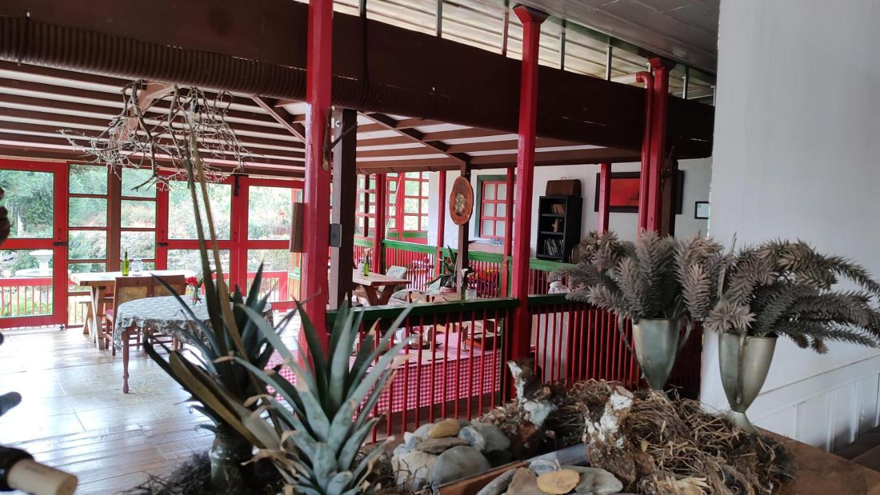 سالنتو Ecohotel Pinohermoso Reserva Natural المظهر الخارجي الصورة