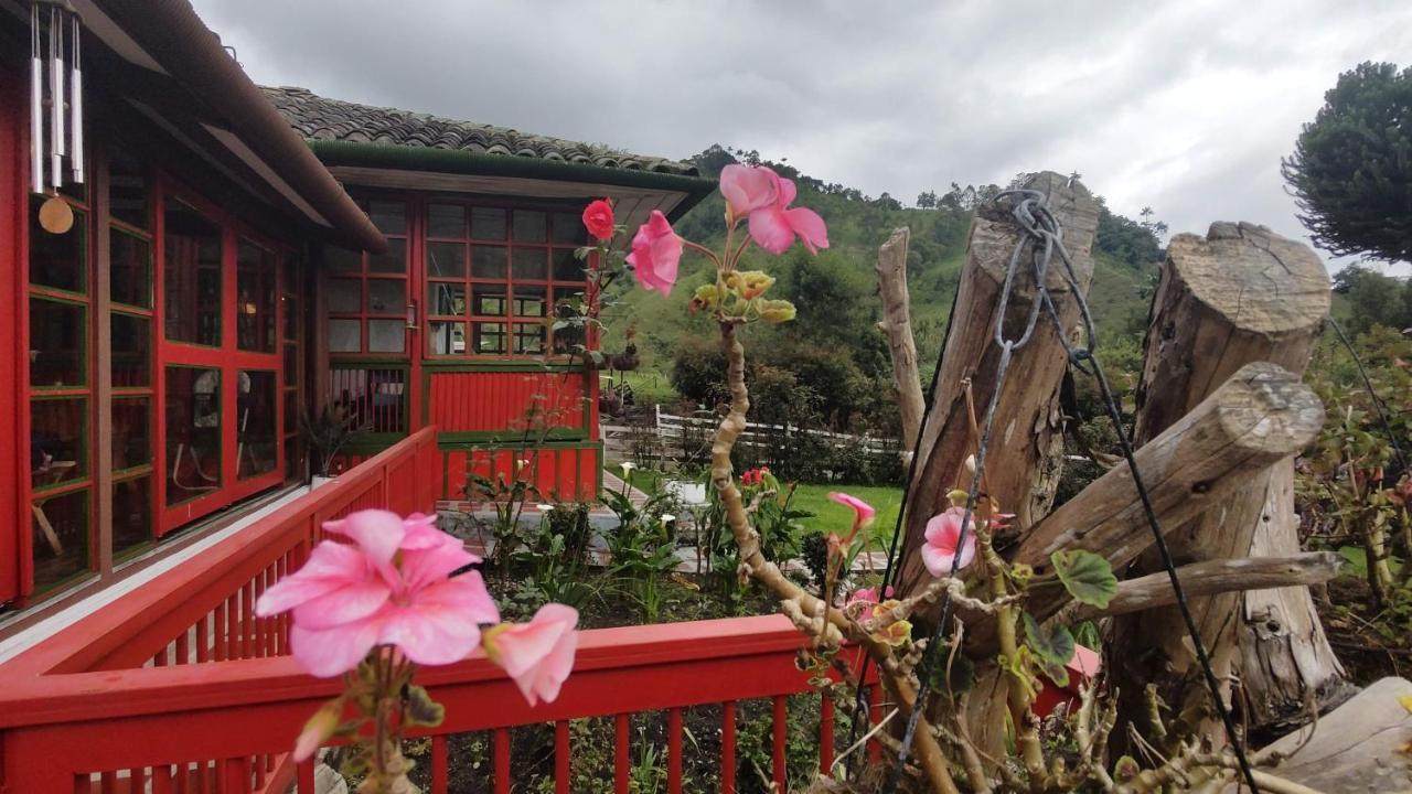 سالنتو Ecohotel Pinohermoso Reserva Natural المظهر الخارجي الصورة