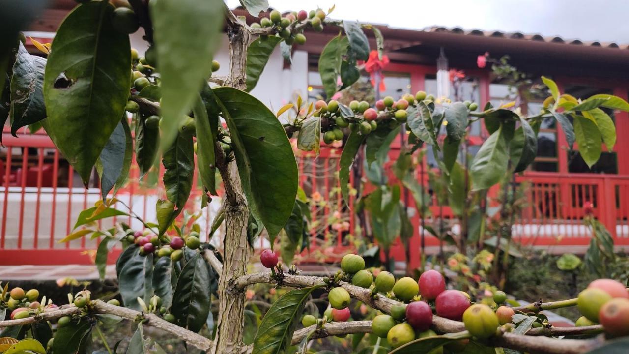 سالنتو Ecohotel Pinohermoso Reserva Natural المظهر الخارجي الصورة
