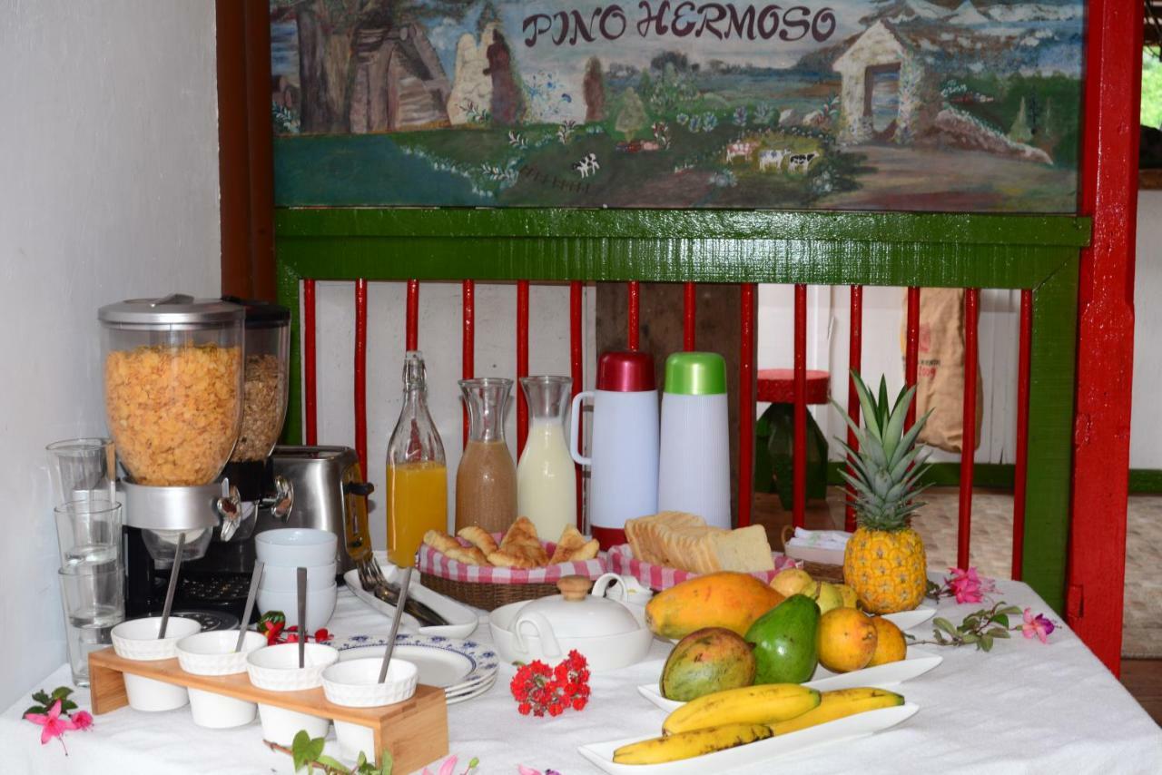 سالنتو Ecohotel Pinohermoso Reserva Natural المظهر الخارجي الصورة