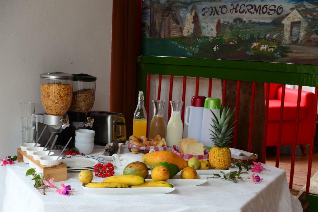 سالنتو Ecohotel Pinohermoso Reserva Natural المظهر الخارجي الصورة