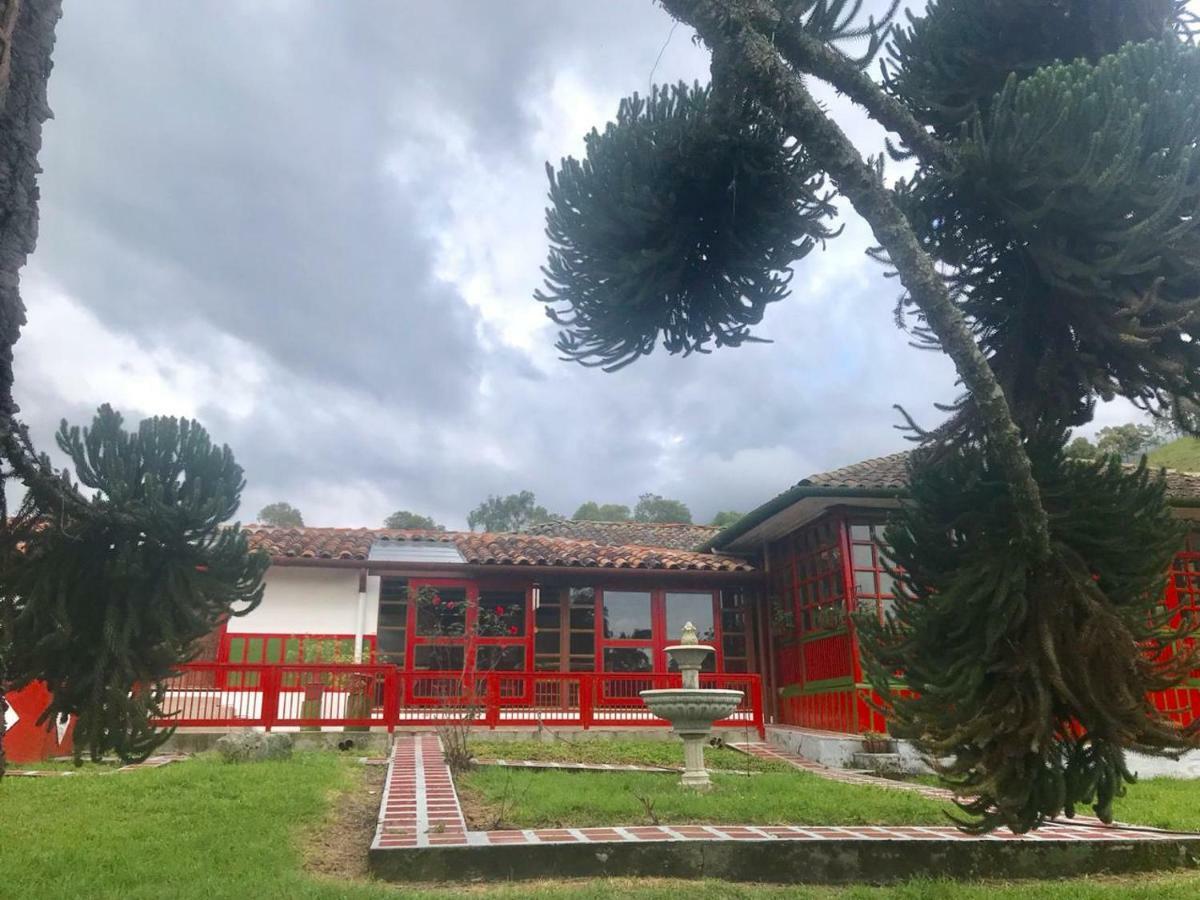 سالنتو Ecohotel Pinohermoso Reserva Natural المظهر الخارجي الصورة